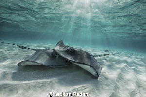 Love, look at the two of us! by Ledean Paden 